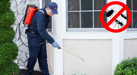 Çavdarhisar Dezenfeksiyon böcek ilaçlama ve haşere kontrolü — ilaclama-tr.com